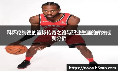 星空官网